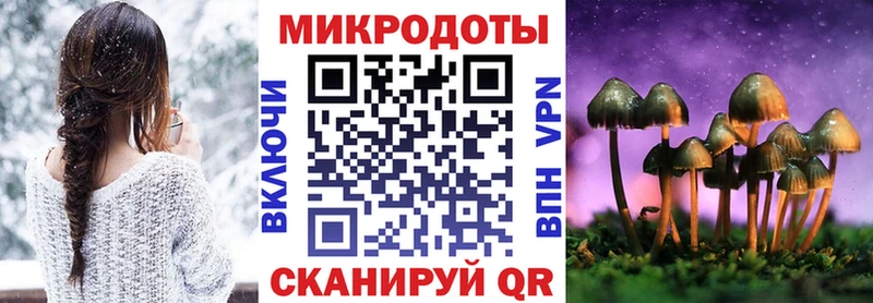 hydra онион  закладка  Валдай  Псилоцибиновые грибы Psilocybe 