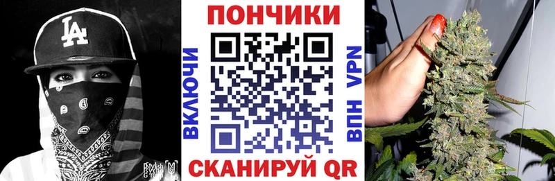 магазин продажи   Валдай  Бошки марихуана Amnesia 